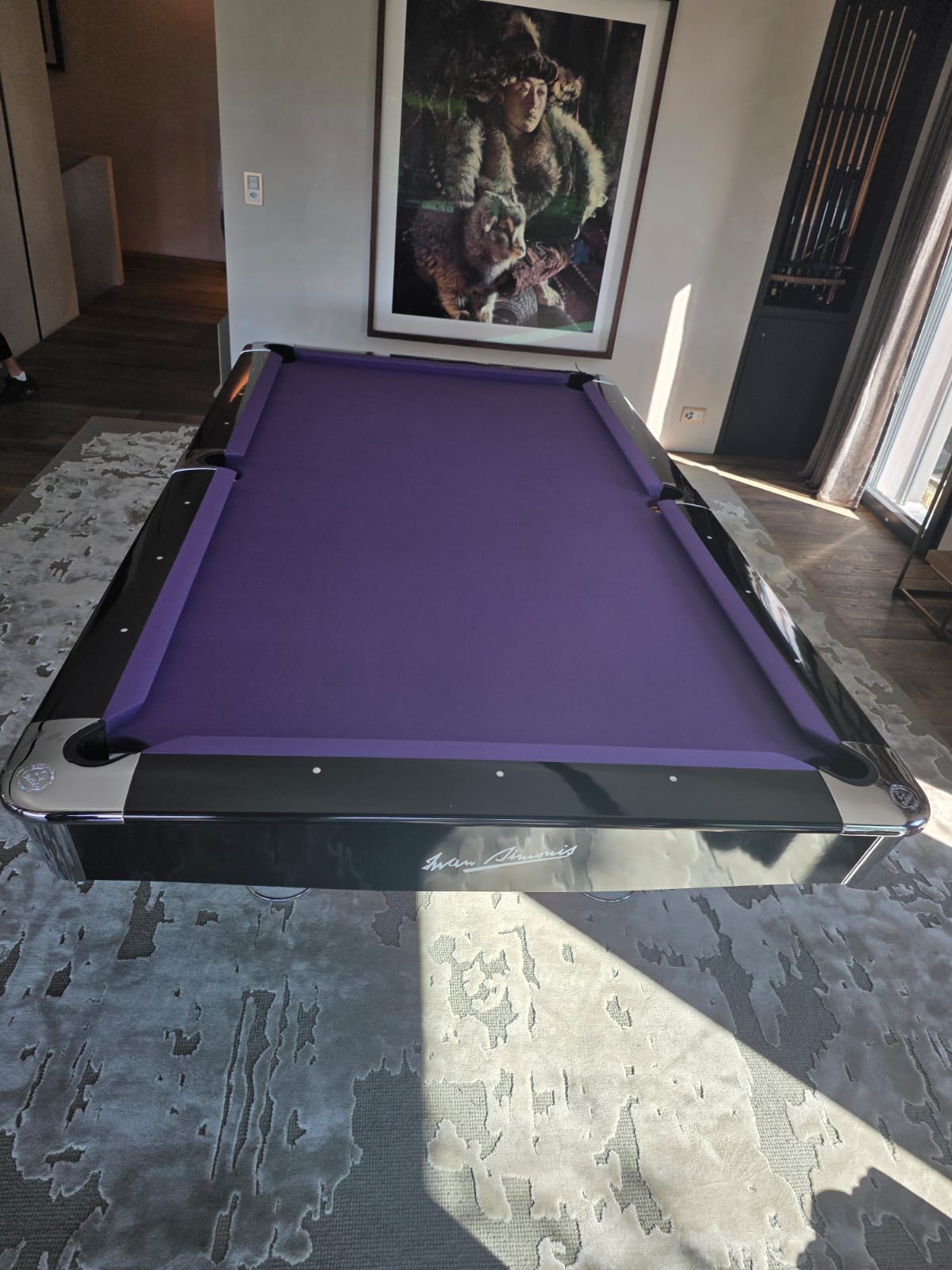 Billardtisch Buffalo Pro II